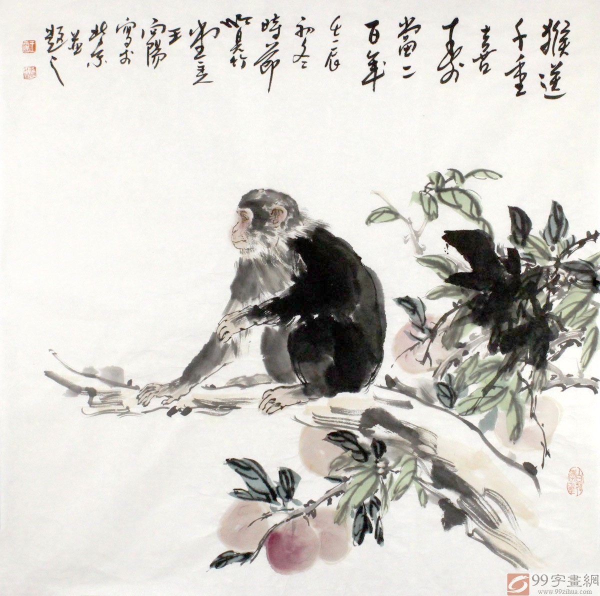 国画猴 国画动物 - 动物画 - 99字画网