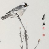 【已售】陈薪名《鸣春》 中美协会员 第六届全国花鸟画展金奖获得者